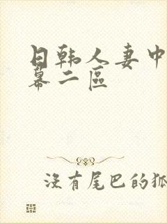 日韩人妻中文字幕二区