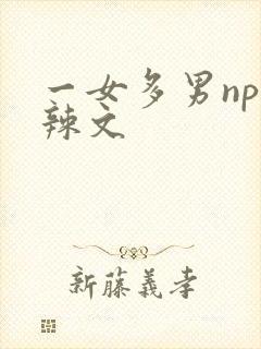 一女多男np高辣文