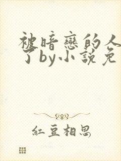 被暗恋的人俘虏了by小说免费阅读