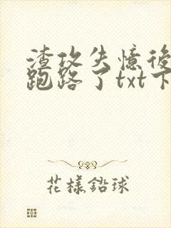 渣攻失忆后替身跑路了txt下载封面