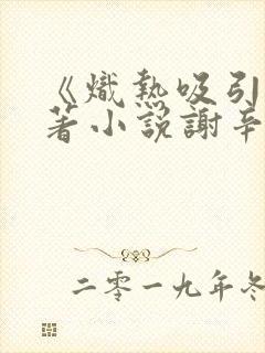 《炽热吸引》原著小说谢辛序免费阅封面