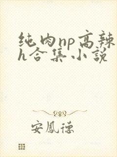 纯肉np高辣文h合集小说