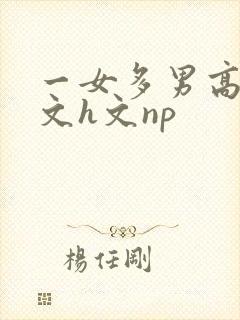 一女多男高辣h文h文np