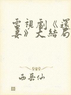 电视剧《还是夫妻》大结局封面