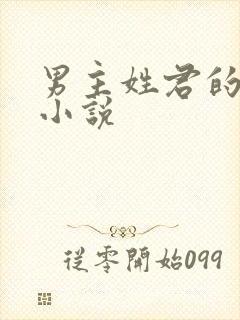 男主姓君的全部小说