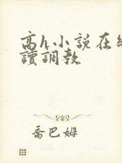 高h小说在线阅读调教