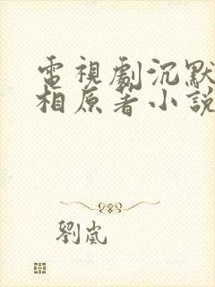 电视剧沉默的真相原著小说