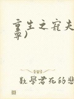 重生之宠夫(女尊)封面