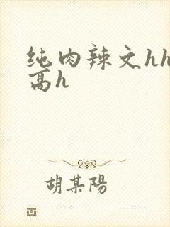 纯肉辣文hhh高h