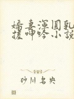 娇妻浑圆乳峰揉搓呻吟小说封面