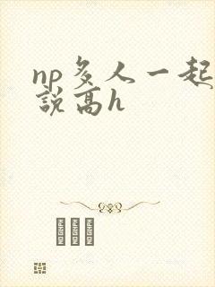 np多人一起小说高h