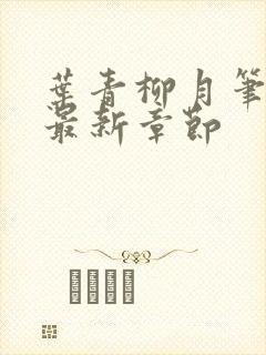 叶青柳月笔趣阁最新章节