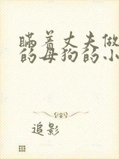 瞒着丈夫做别人的母狗的小说