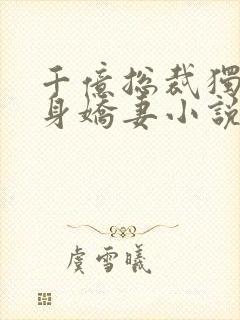 千亿总裁独宠替身娇妻小说完整