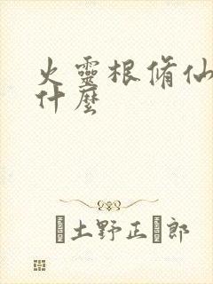 火灵根修仙擅长什么封面