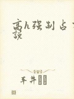 高h强制占有小说封面