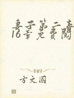 妻子第二春小说16章免费阅读封面