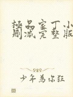 极品家丁小说未删减完整版