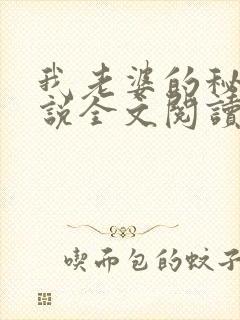 我老婆的秘密小说全文阅读