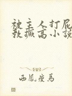 被主人打屁股调教撅高小说封面