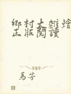 乡村大杂烩小说正版阅读