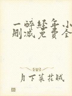 一醉经年小说未删减免费全文番外