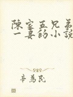 陈家五兄弟共娶一妻的小说陈季安