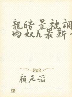 龙皓晨被调教成肉奴h最新章节列表