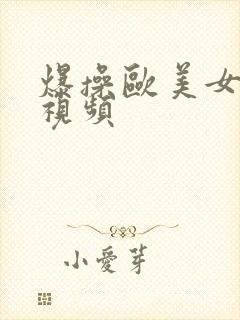 爆操欧美女人逼视频