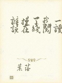 谁摸了我一下小说在线阅读