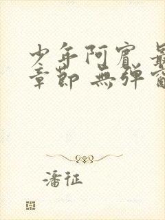 少年阿宾 最新章节 无弹窗 笔趣阁