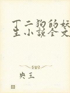 丁二狗的妖孽人生小说全文无删减