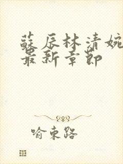 苏辰林清婉小说最新章节封面