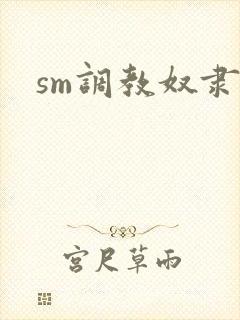 sm调教奴隶文
