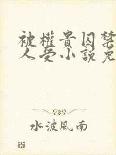 被权贵囚禁的美人受小说免费阅读下