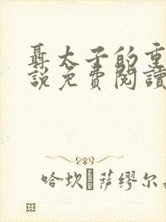 聂太子的重生小说免费阅读