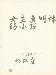 女主角叫林婉婉的小说