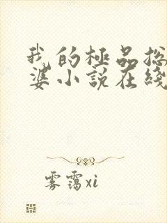 我的极品总裁老婆小说在线阅读