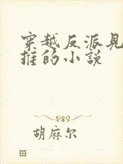 穿越反派见女就推的小说