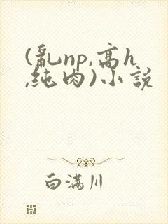 (乱np,高h,纯肉)小说封面
