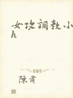 女攻调教小说高h封面