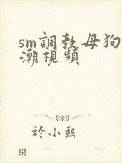 sm调教母狗高潮视频