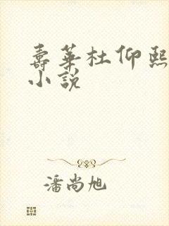 寿华杜仰熙同人小说