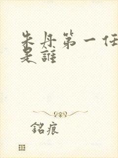 朱丹第一任丈夫是谁