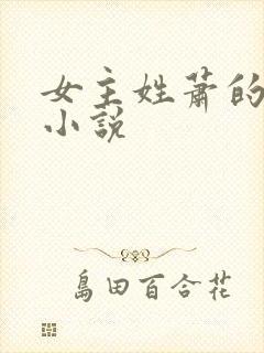 女主姓萧的古代小说