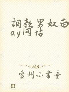 调教男奴白袜gay网站