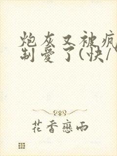 炮灰又被疯批强制爱了(快/穿)