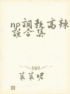 np调教高辣小说合集