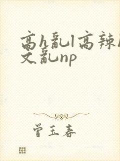高h乱l高辣h文乱np