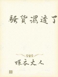 骚货湿透了双性